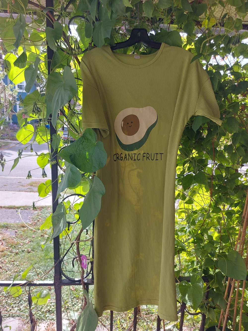 ❤️🥑Organic Fruit Avocado Graphic Tee Dress❤️🥑